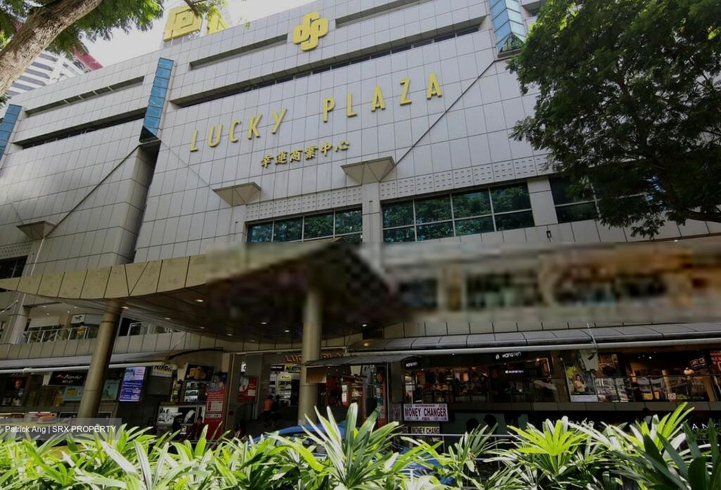 Lucky Plaza (D9), Shop House #520344721